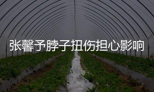 张馨子扭心影响主倒霉予脖持 称好发文伤担