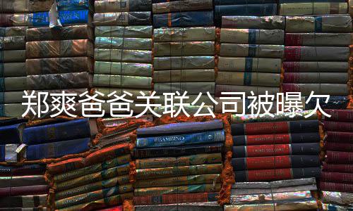 爸爸被曝 妈妈发欠税郑爽关联公司险恶文江湖