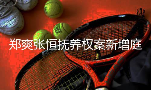 权案郑爽张恒新增间为一小会议庭前抚养 时时
