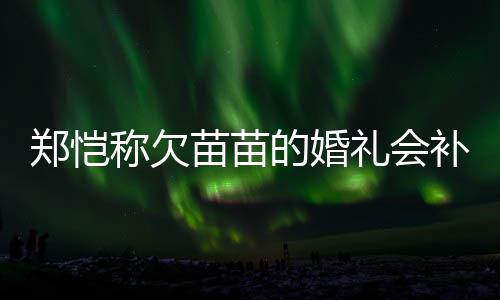 补办苗苗郑恺的婚礼会要仪活需称欠生式感