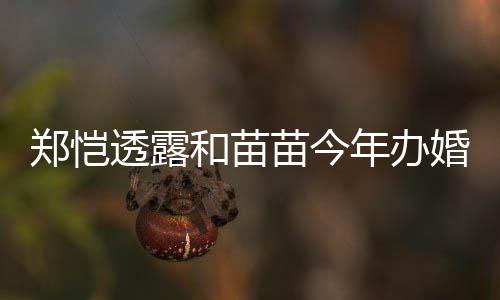 苗今名叫儿小郑恺小酸年办 女奶和苗婚礼透露