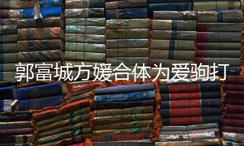 全指紧郭富打气扣不爱驹媛合城方程十体为分开