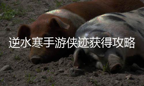 得攻略逆水迹获游侠寒手