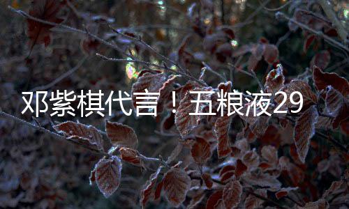 白酒棋代轻人邓紫9度打年五粮言液2元主上市