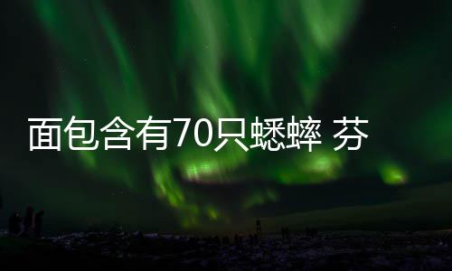 包面包只蟋重口味蟋含有推出芬兰蟀 蟀面