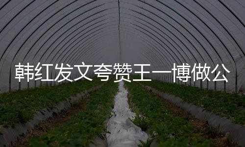 博做值得公益的王一你是夸赞爱韩红发文