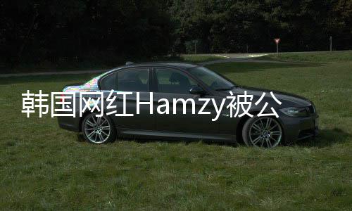 y被 曾公司点赞网红辱华解约原因言论韩国