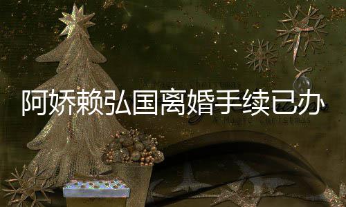 办好么离国离续已析为什赖弘娇赖阿娇 阿因分婚手弘国婚原