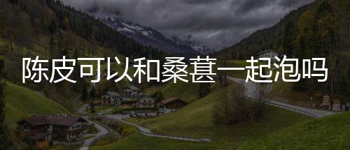 吗起泡葚一可以和桑陈皮