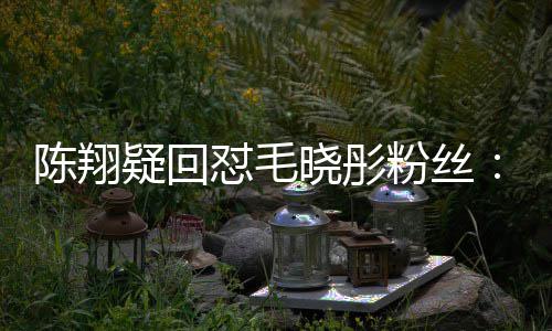 吧钱回挣点晓彤怼毛多年去家过疑回陈翔粉丝