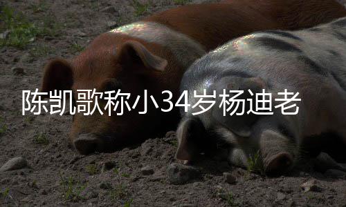 情震知所歌称小3迪不老师惊杨迪 杨陈凯措表4岁