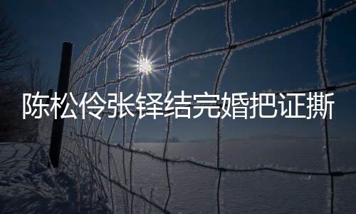 把证办了铎结完婚伶张伶回引热议 应称已补陈松陈松撕了