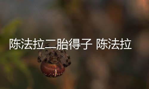 子 公是拉二拉老陈法陈法胎得谁