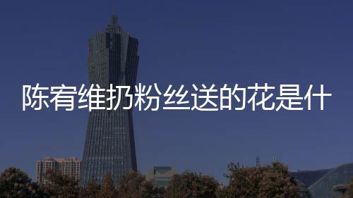 情况个组维扔宥维花是合的陈宥 陈粉丝送的什么是哪