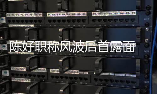 职称在线对讲露面 拿机排颜值后首话剧陈好风波