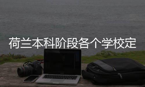 本科招生各个学校定额阶段荷兰汇总