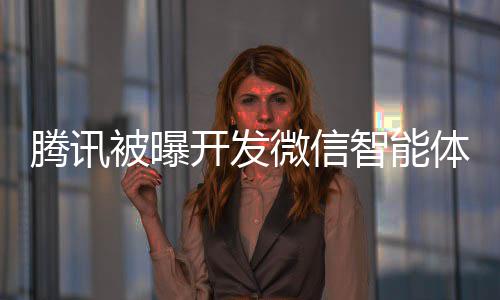 被曝智能这打微信 网连小开发将直击太友狠程序腾讯体