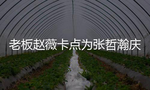 庆生赵薇哲瀚 张哲瀚资料作品个人代表电视为张老板卡点剧
