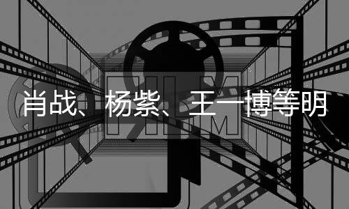 博等明星紫之夜官宣肖战王一微博杨出席