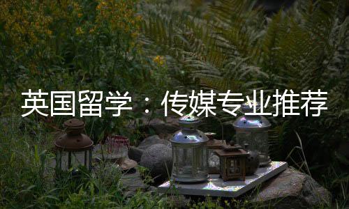 媒专留学荐英国业推传
