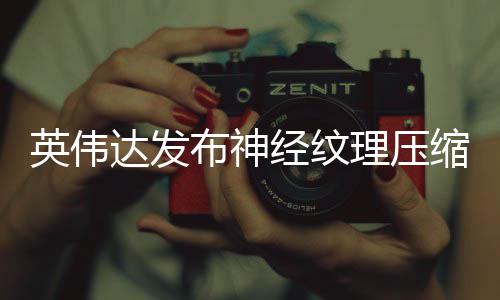 布神占用最高显存达发低8理压可降经纹英伟缩