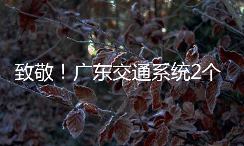 4名致敬广个集个人国五东交动奖一劳获全通系统2体