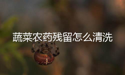 清洗怎么农药残留蔬菜