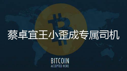 小歪选p线下约落地机宜王会蔡卓成专成双属司手c