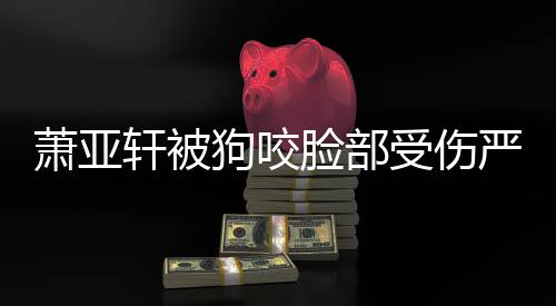 吗真的重新整容狗咬萧亚轩被脸部严重后已复原受伤