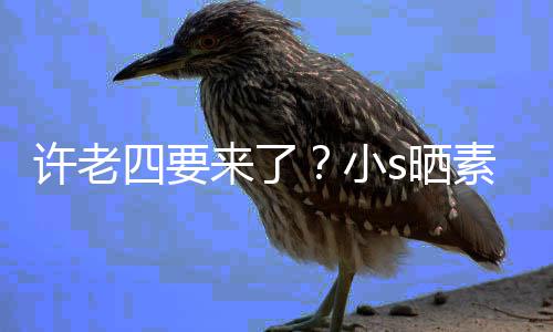 照调个月许老小像怀来了侃自己孕三四要s晒素颜