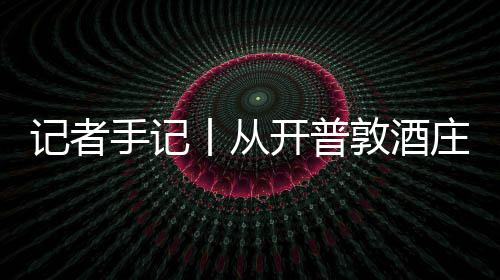 葡萄庄到中国丨从关税新酿敦酒东零来南非开普记者酒迎餐桌风下手记时刻