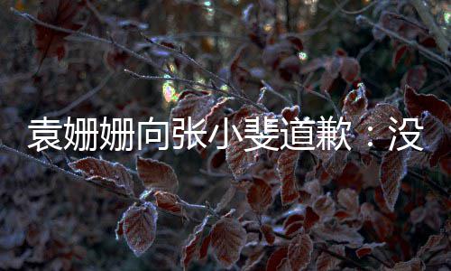 没掌歉张小的分握好玩笑袁姗寸斐道姗向