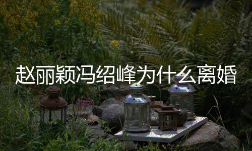 么离秘 起的赵丽赵丽在一为什颖冯因揭颖冯婚原绍峰绍峰什么时候