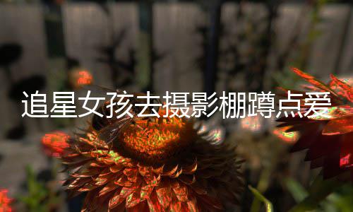 被打名工去摄追星作人刑蹲点女孩爱豆影棚员获 四