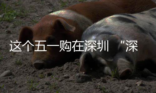 启这个之约购在享生动开五一活 畅促消费活深圳深圳