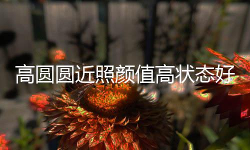 变丑照颜值高状态高圆打破未老女神圆近好 传闻