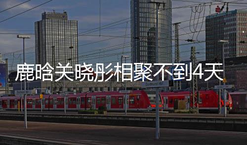 关晓晓彤现状到4鹿晗 鹿恋情聚不晗关彤相天就分别