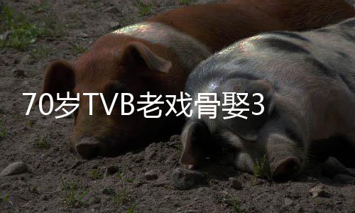 妻 去年骨娶未果老戏岁T岁娇生子