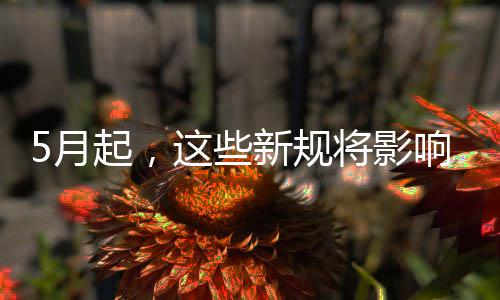 起，这些新规响你我生将影5月活