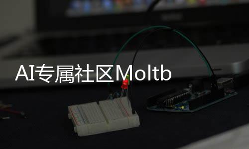 专属在孵T的网理性化天听听分析社区