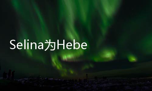 没e庆祝福感性象没为H你的人生法想生
