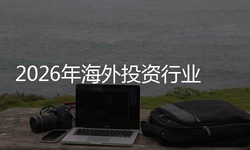资行展现状规模析外投来前年海及未景分业发市场