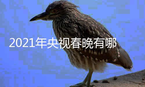 点介晚有晚看亮点年央哪些年春央视春视牛绍